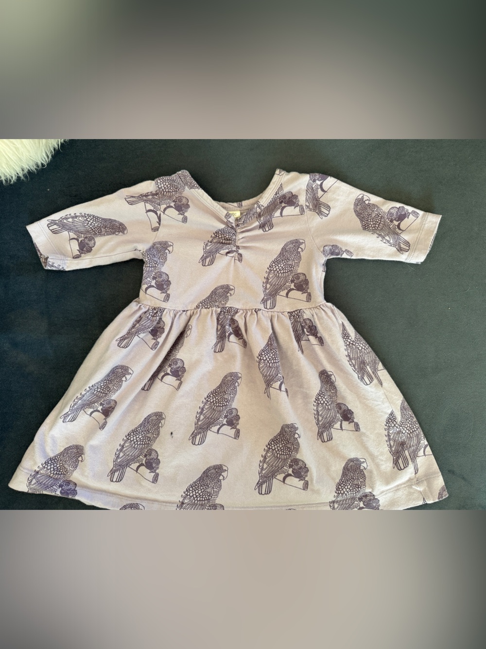 kate quinn light purple ballerina dress with bird print